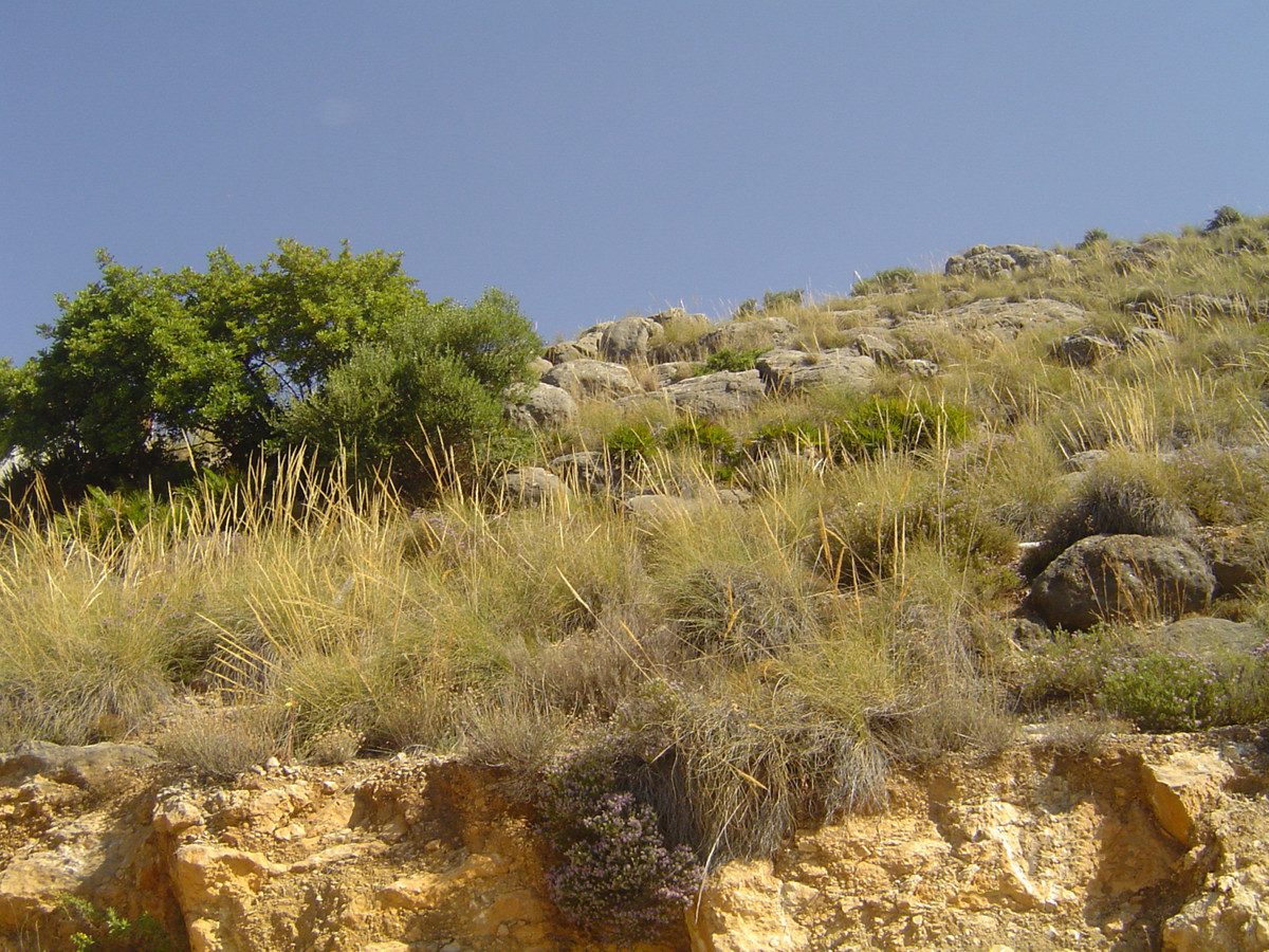 Terreno en Coín de 0m2 1