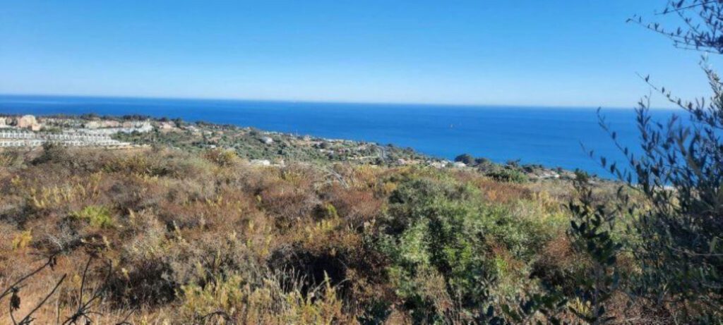 Terreno en San Roque de 0m2 1