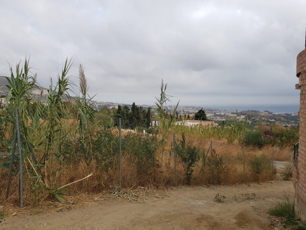 Foto de 1