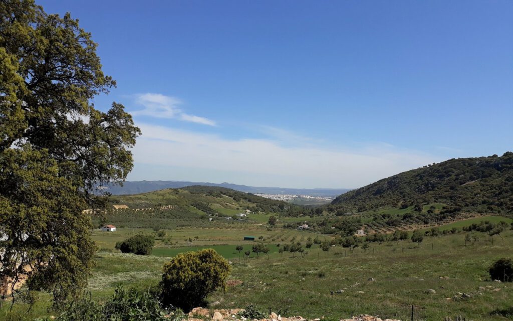 Foto de 1