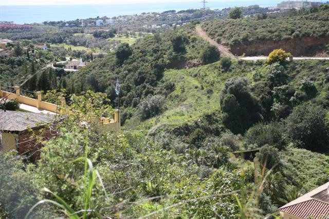 Foto de  1