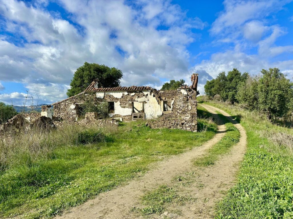 Foto de  1