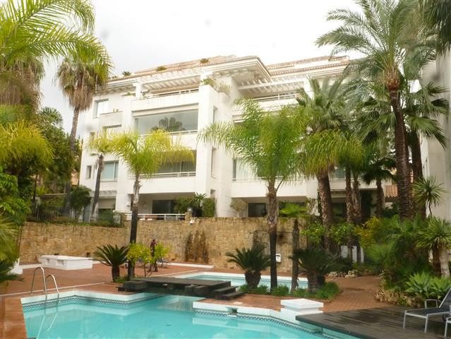 Foto de  1