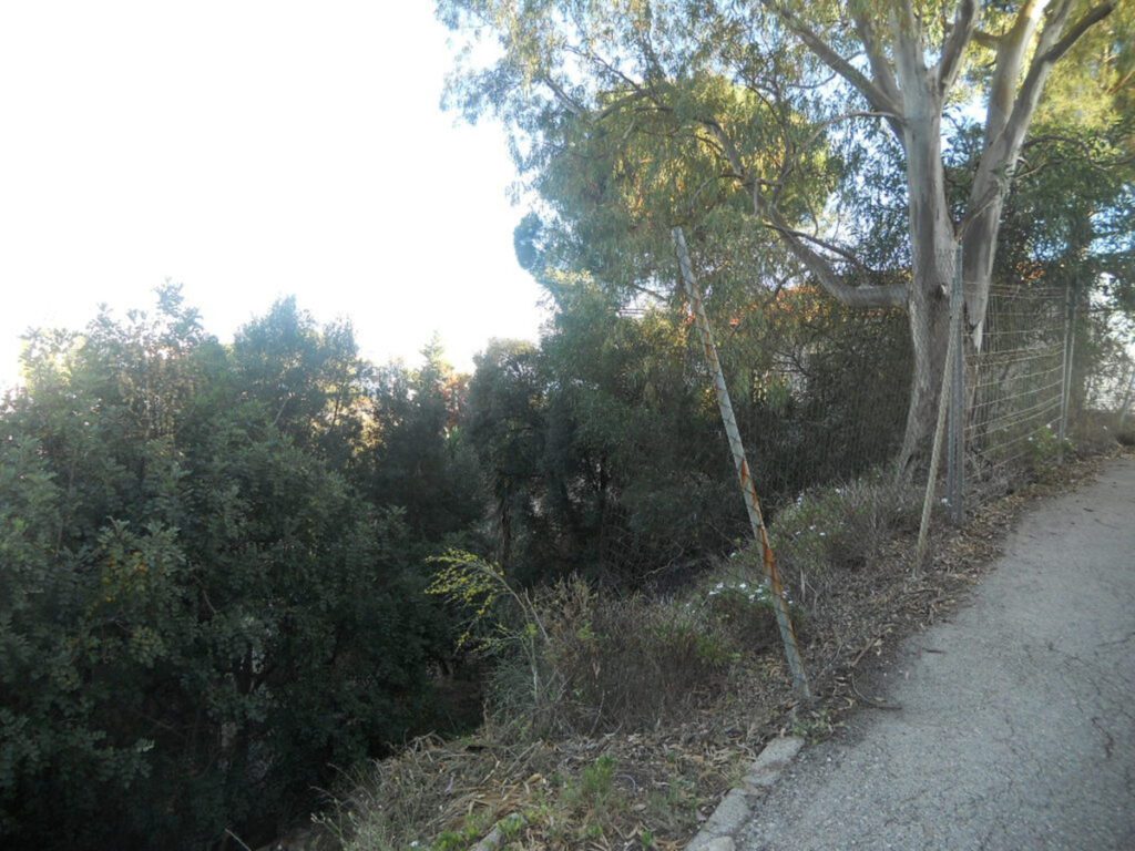 Foto de  1