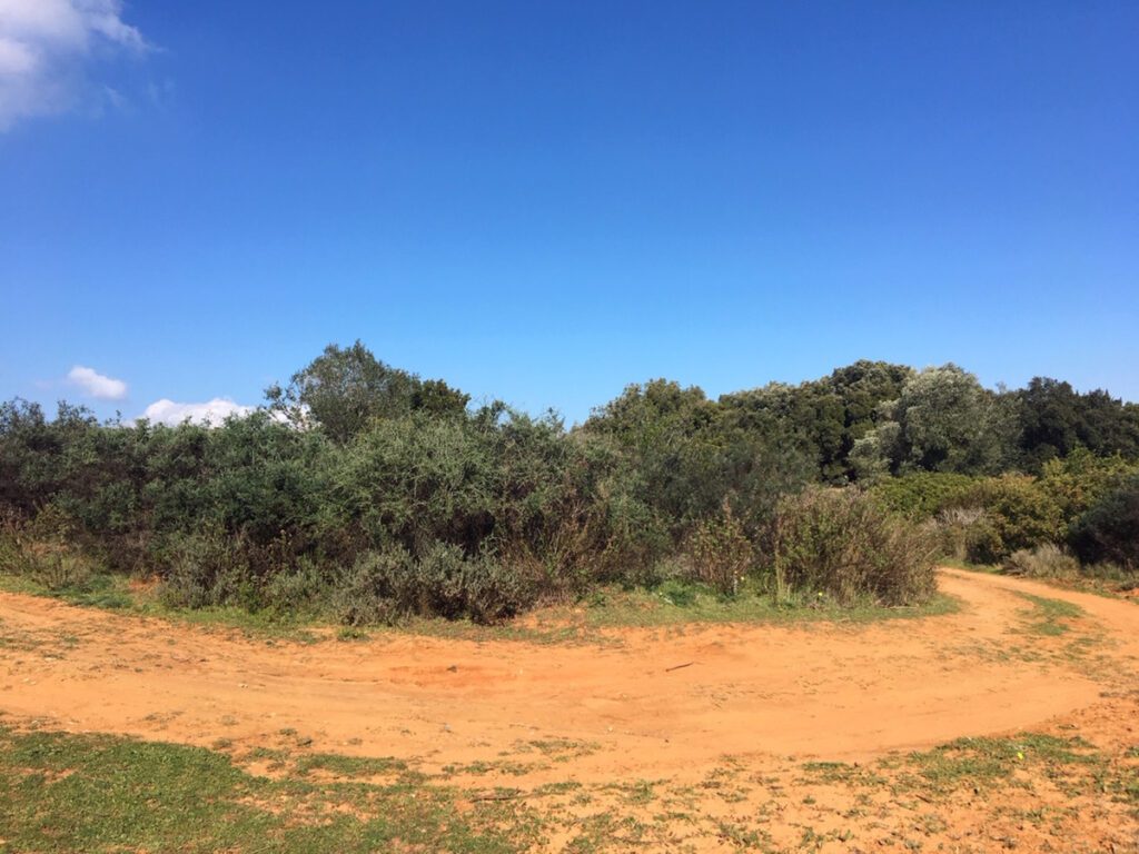 Foto de  1