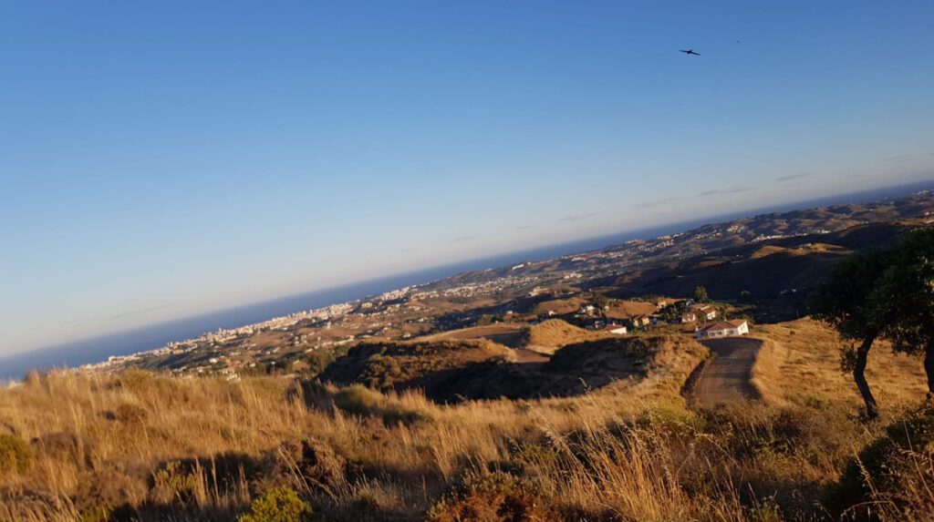 Foto de  1