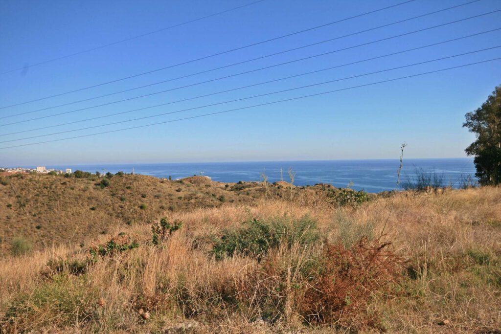 Foto de  1