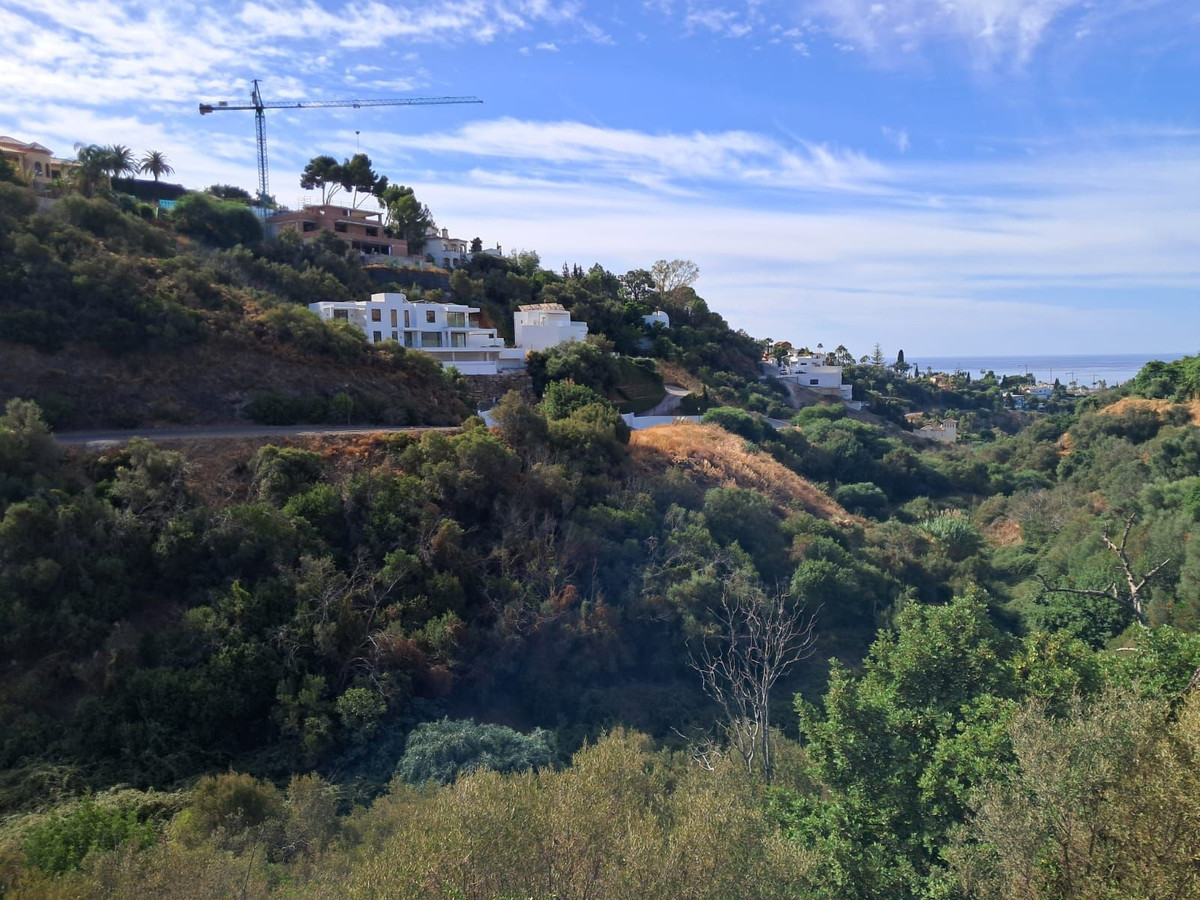 Foto de  1