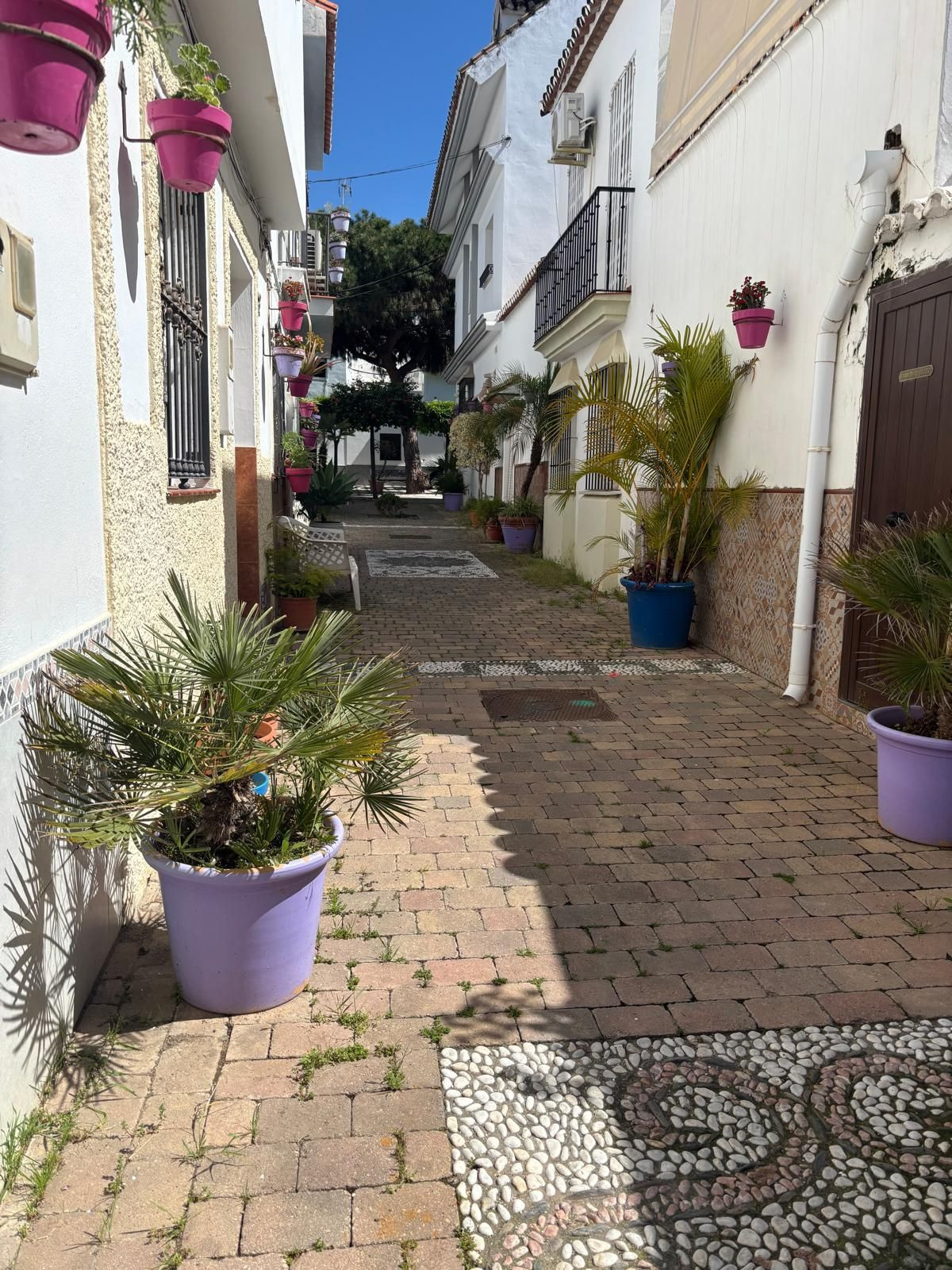 Foto de 1