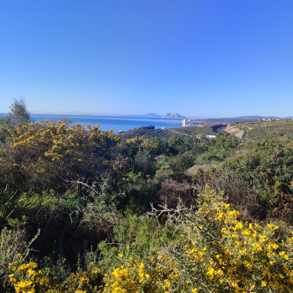 Foto de  1