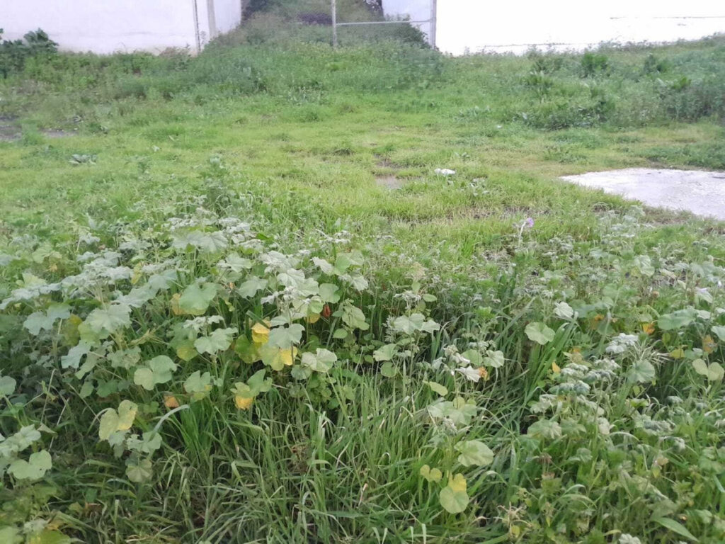 Foto de  1