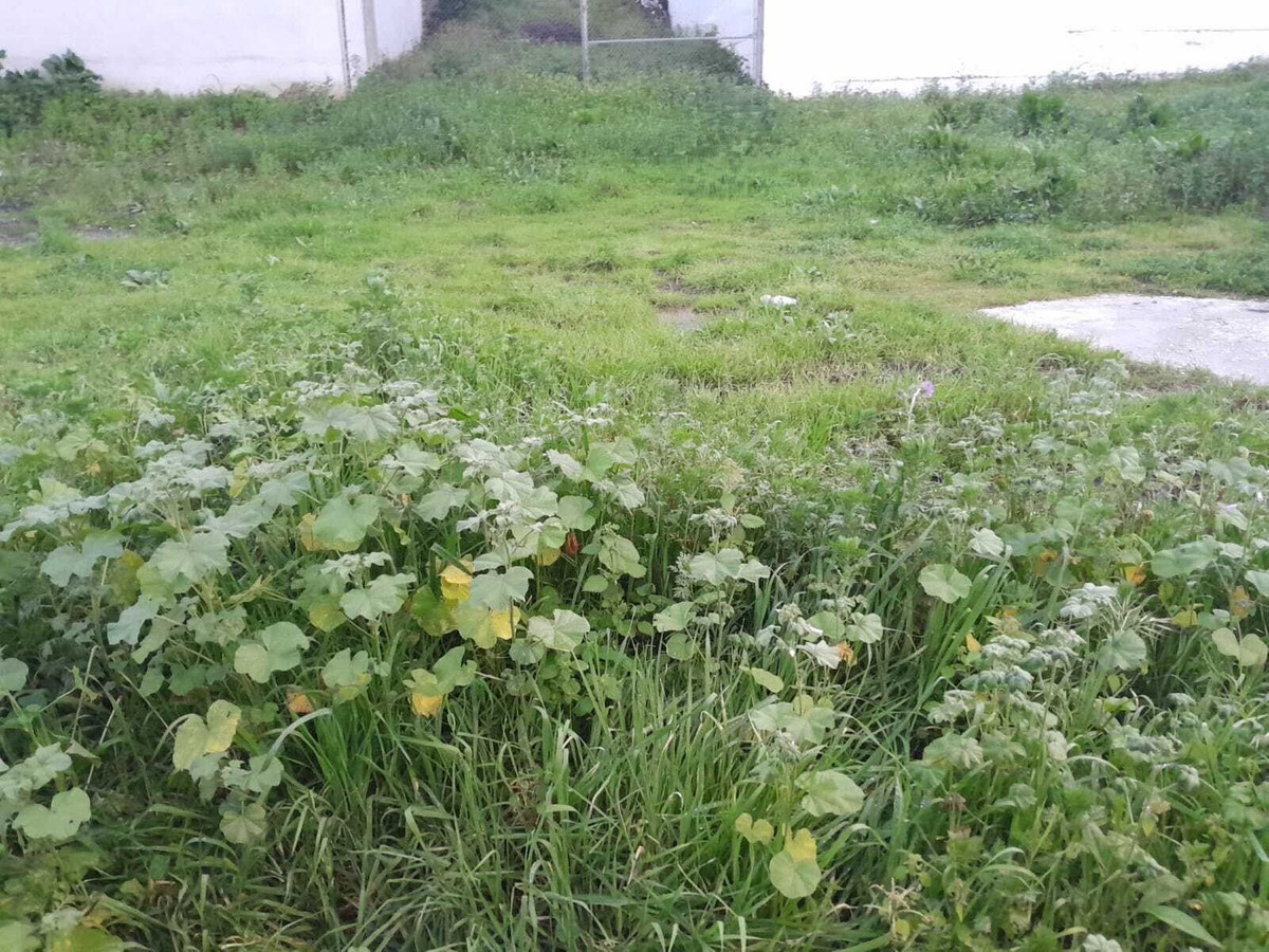 Foto de  1