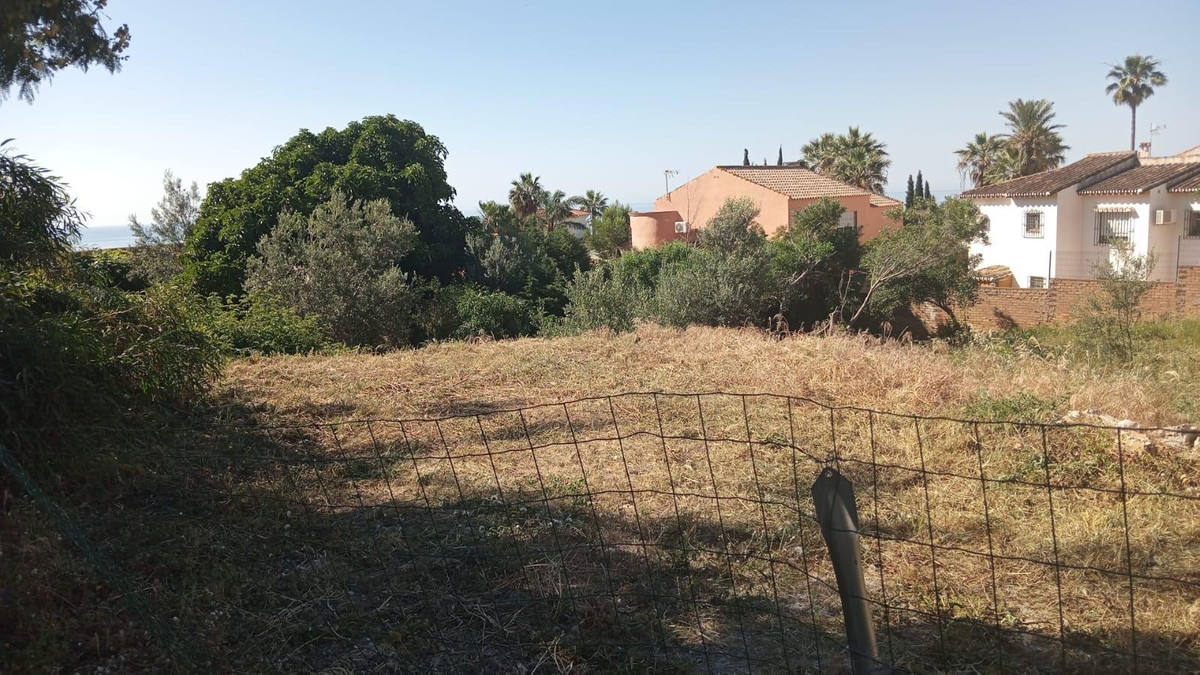 Foto de  1