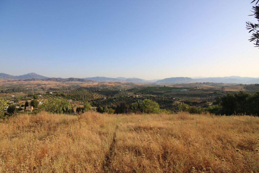 Foto de  1
