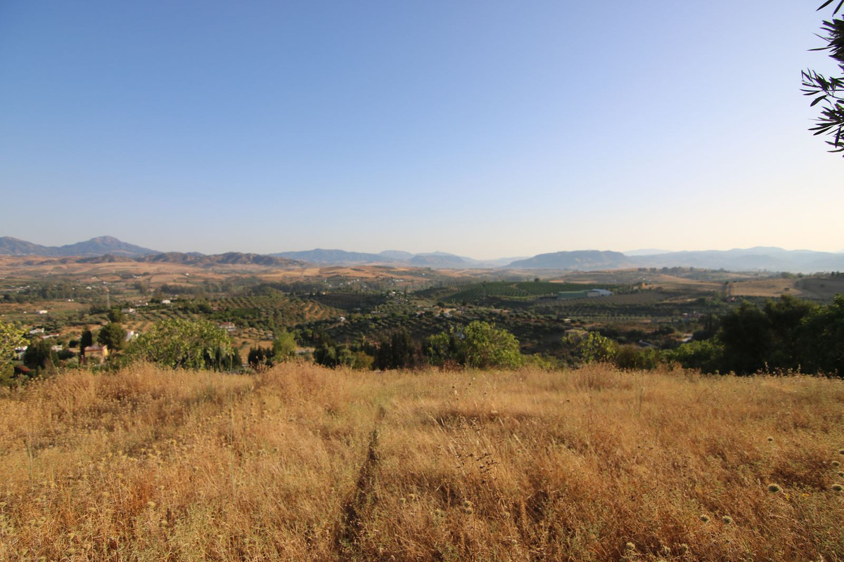 Foto de  1