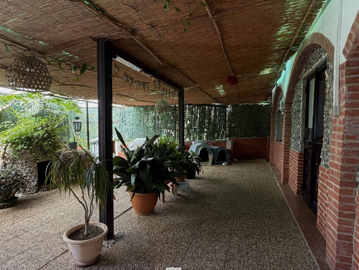 Foto de  1