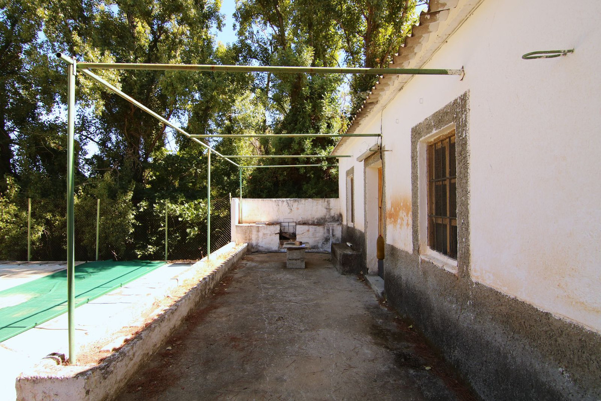 Foto de  1