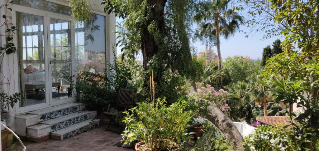 Foto de  1