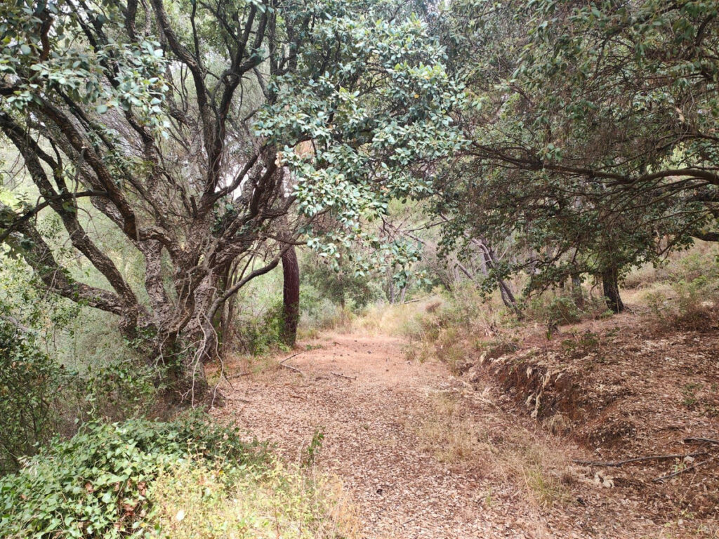Foto de 1