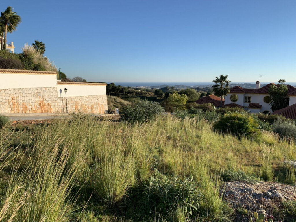 Foto de 1
