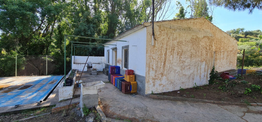 Foto de  1