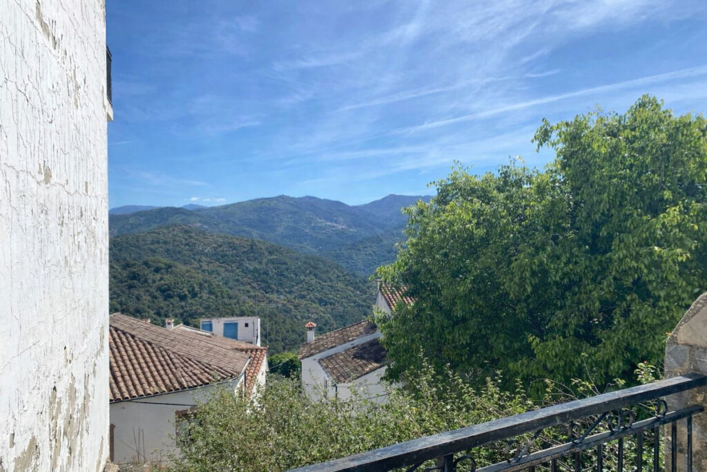 Foto de  1