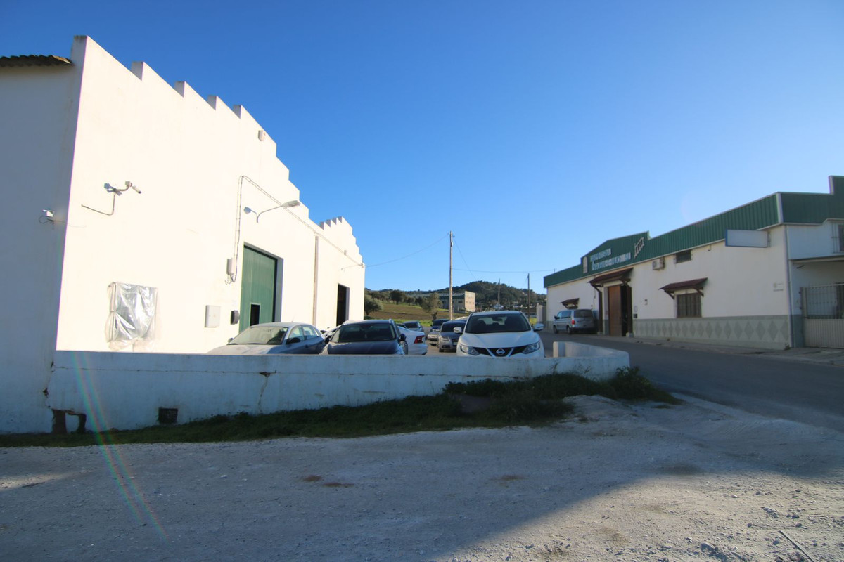 Foto de  1