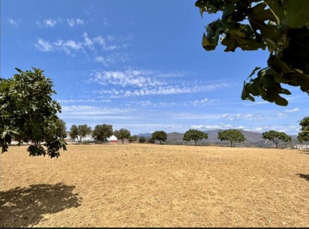 Foto de  1