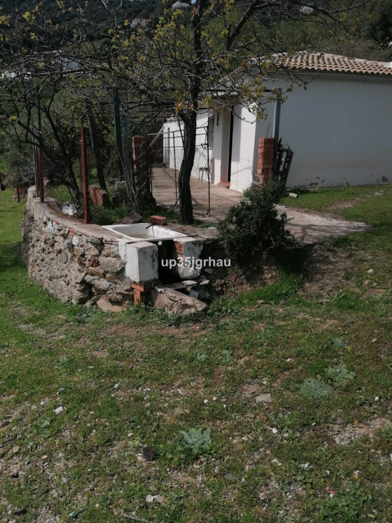 Foto de  1