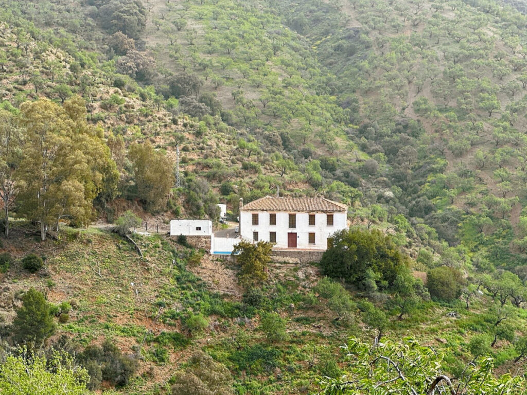 Foto de  1
