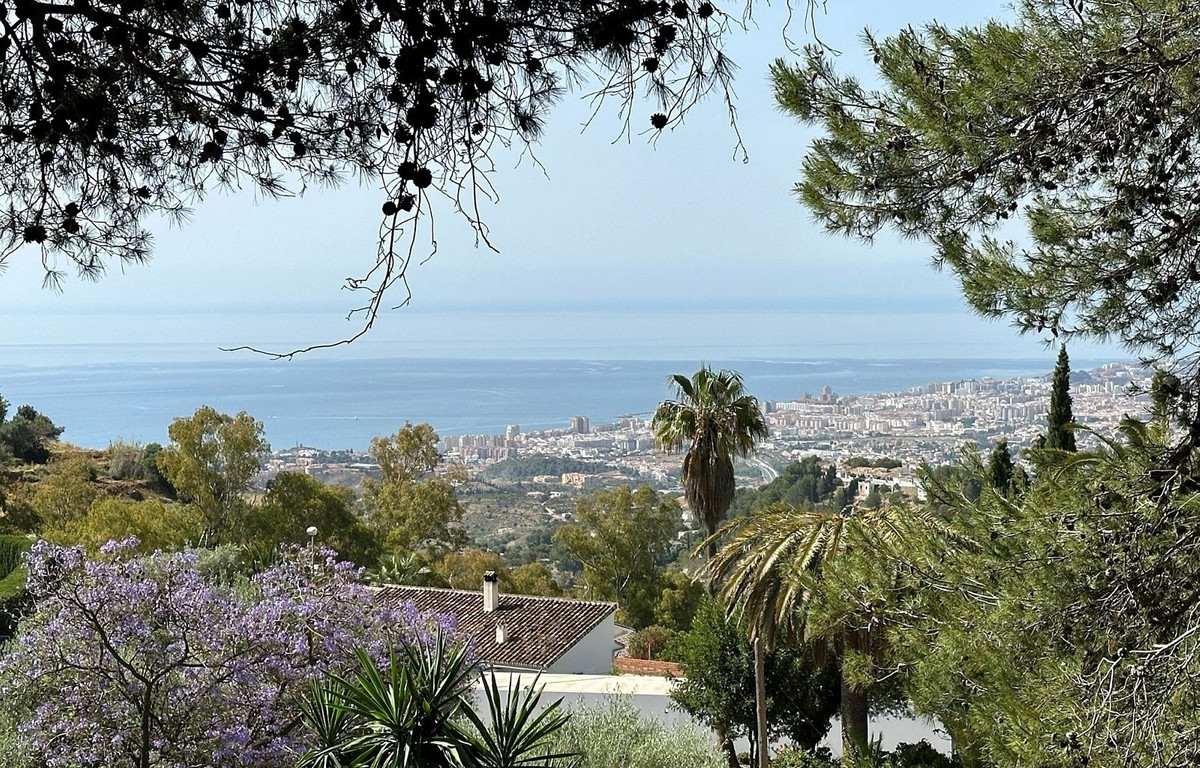Foto de  1