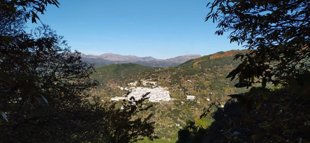 Foto de  1