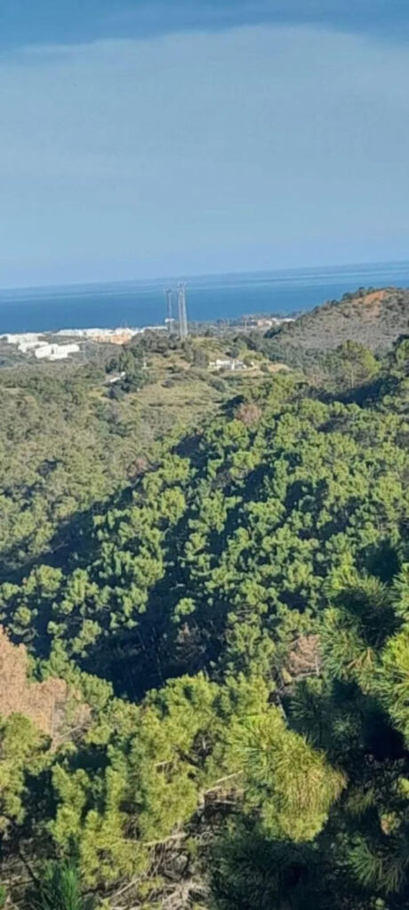 Foto de  1