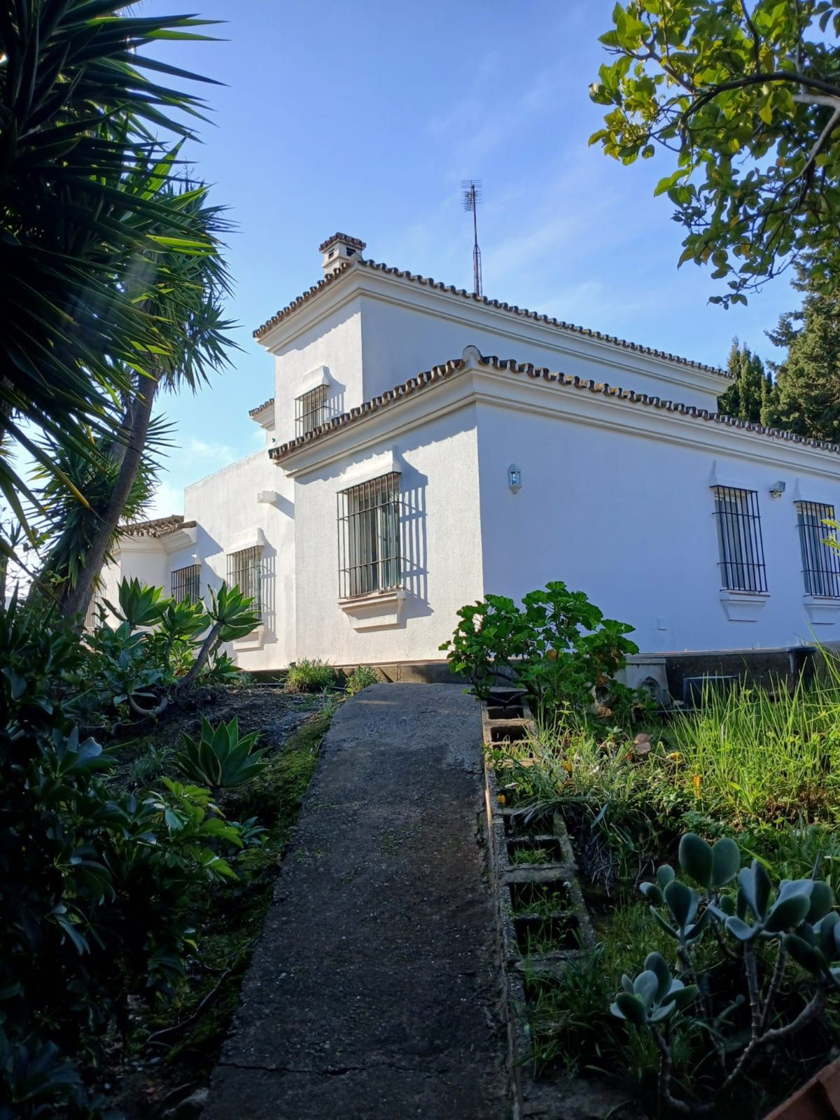 Foto de  1