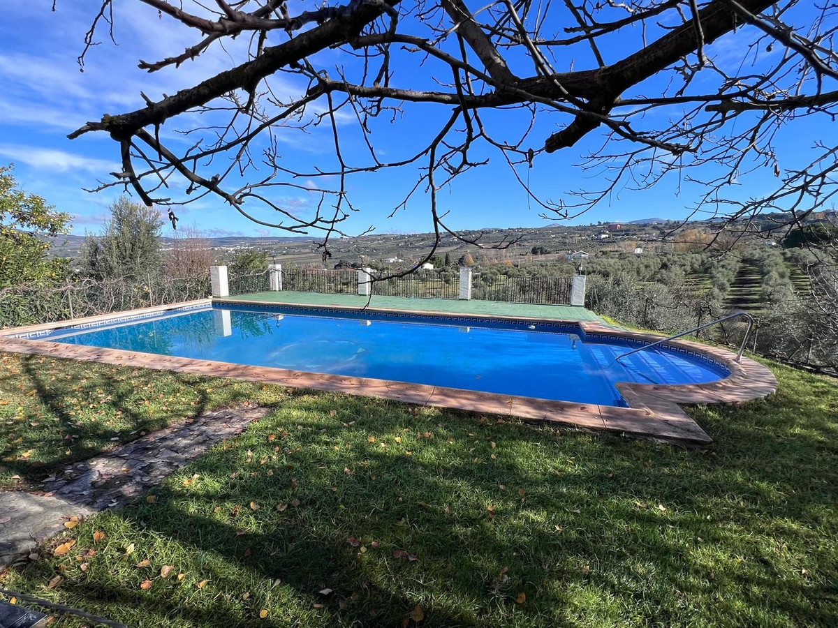 Foto de  1