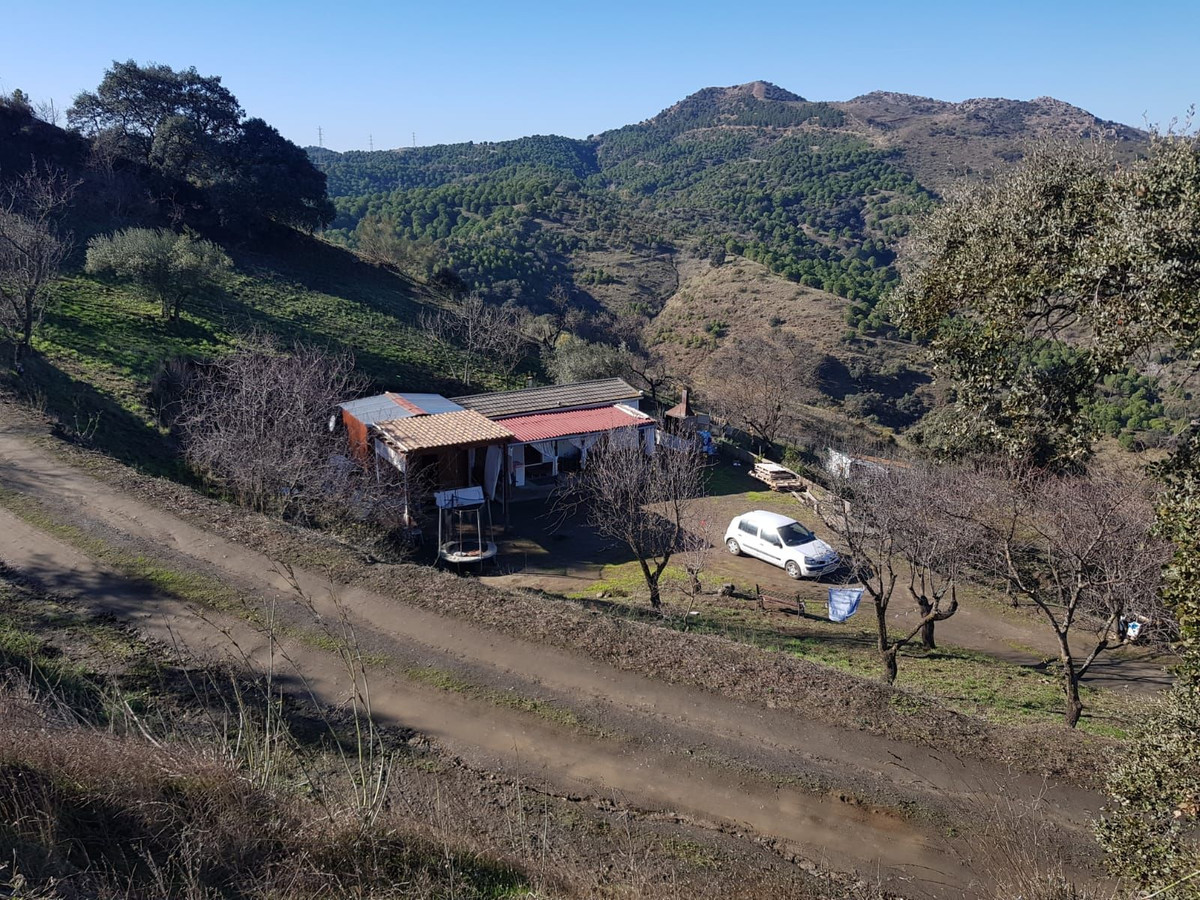 Foto de  1