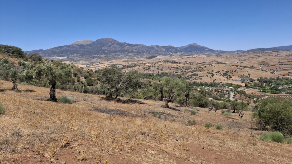 Foto de  1