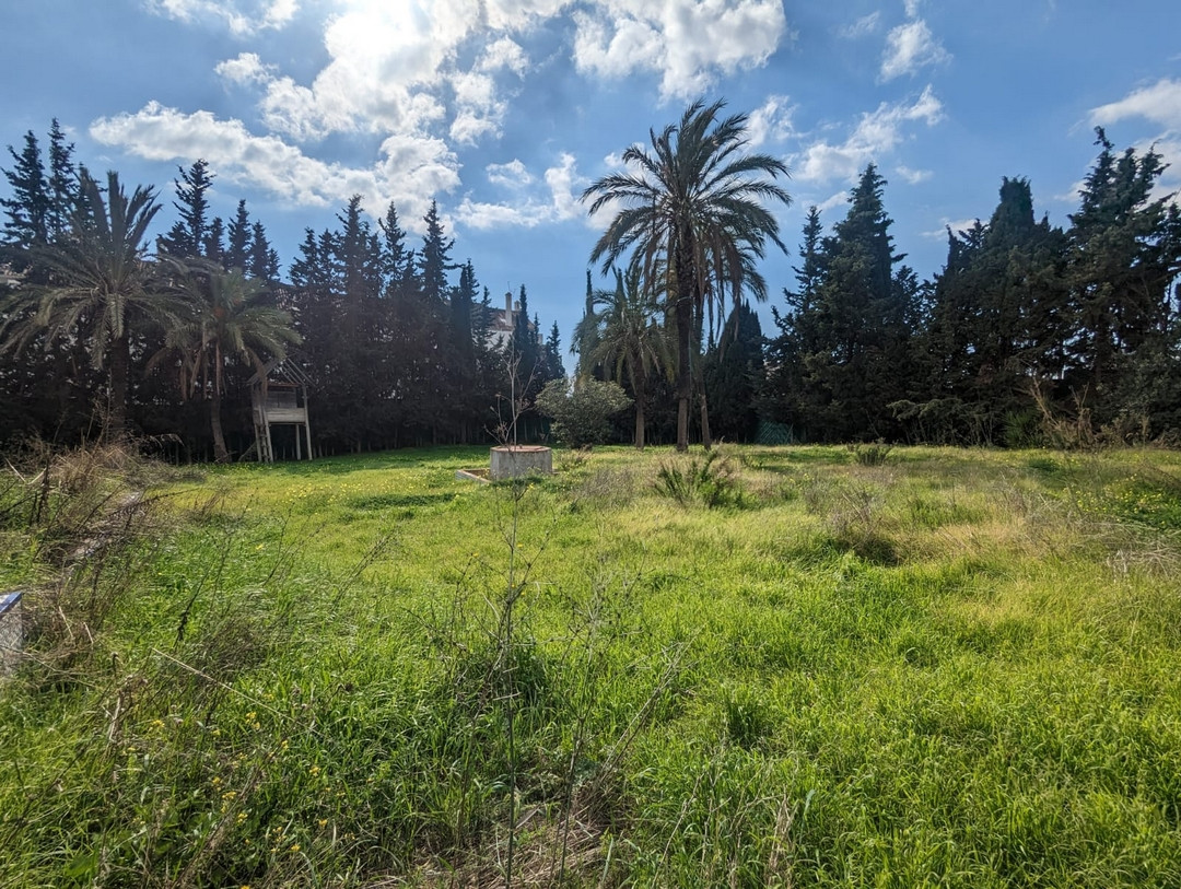 Foto de 1