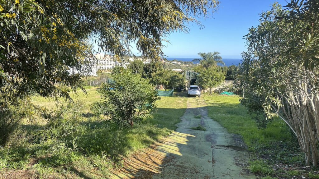 Foto de  1