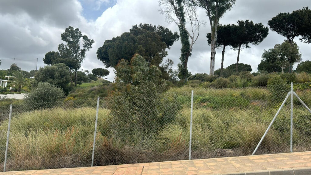 Foto de 1