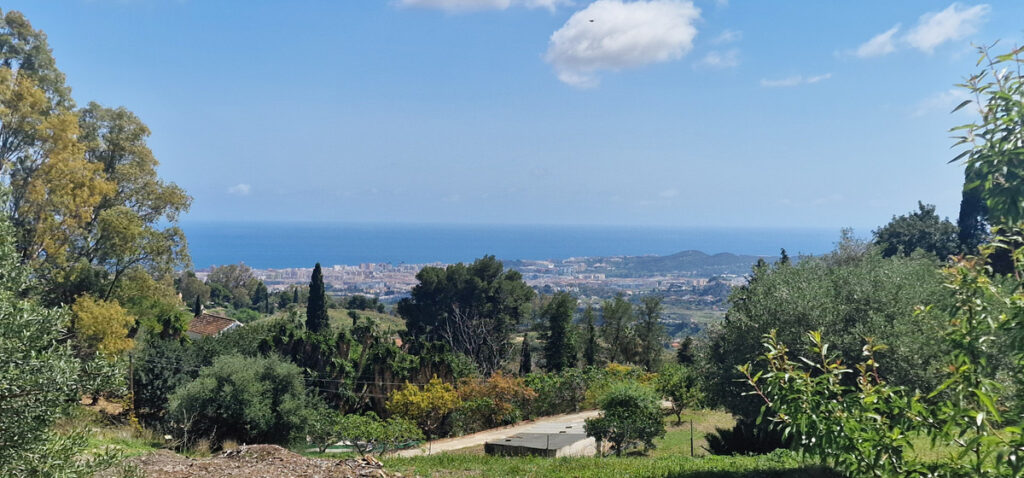 Foto de 1