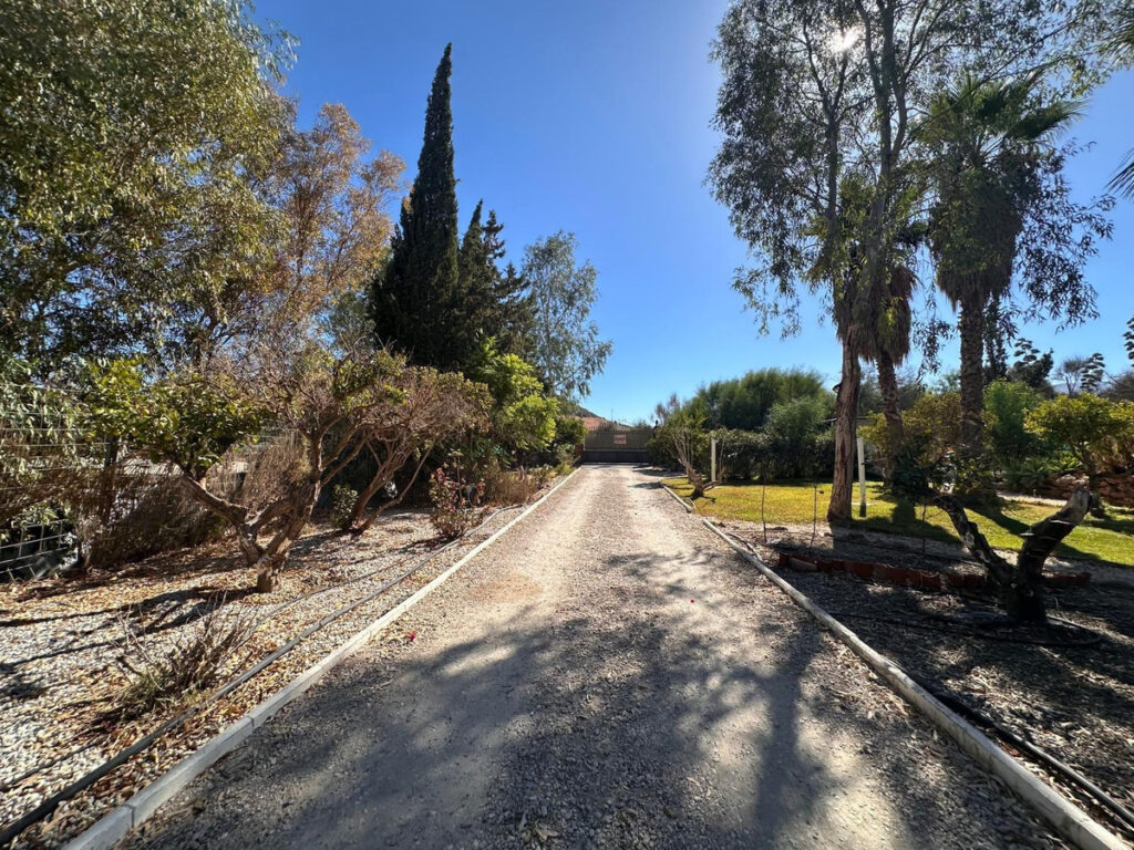 Foto de  1