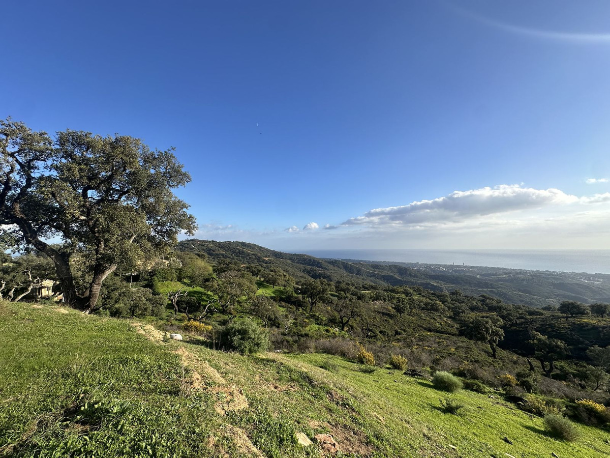 Foto de  1