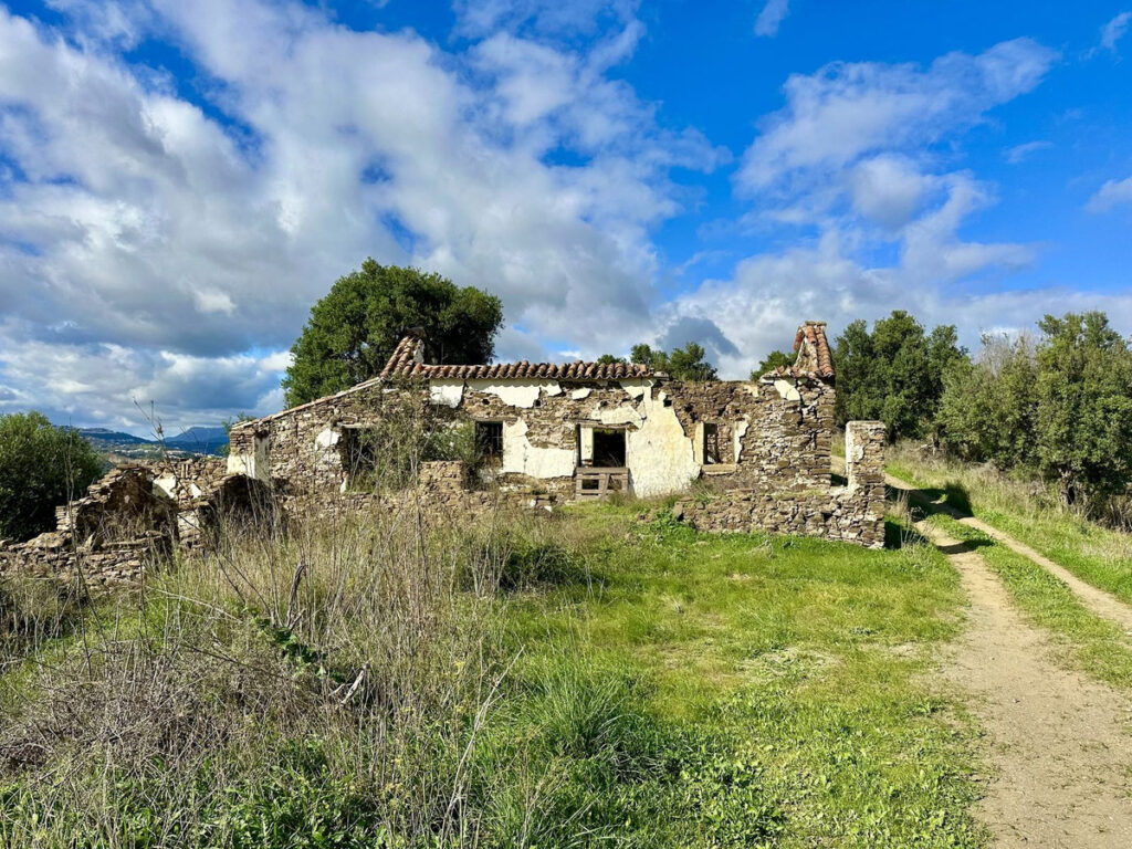 Foto de  1