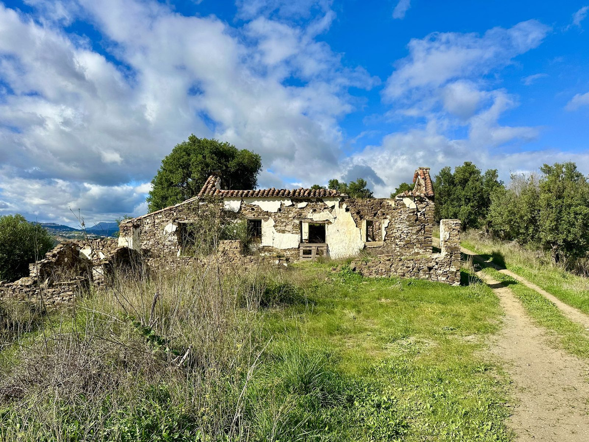 Foto de  1