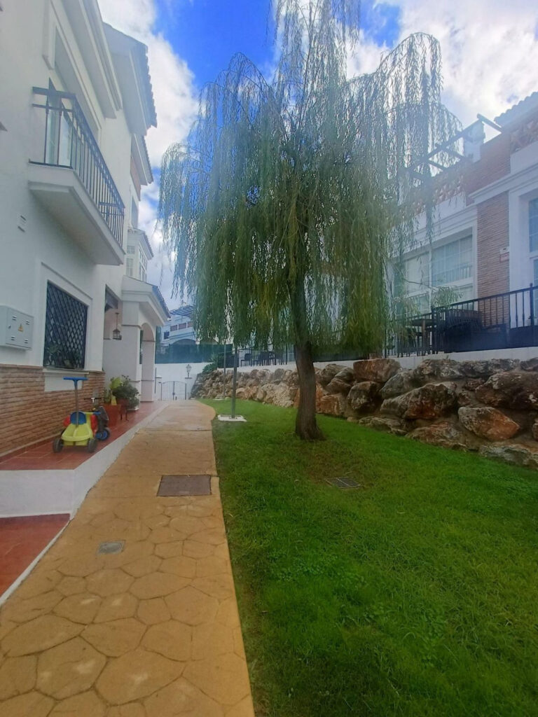 Foto de  1