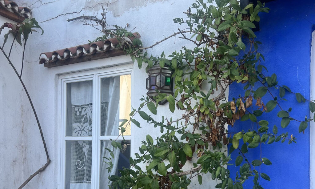 Foto de  1