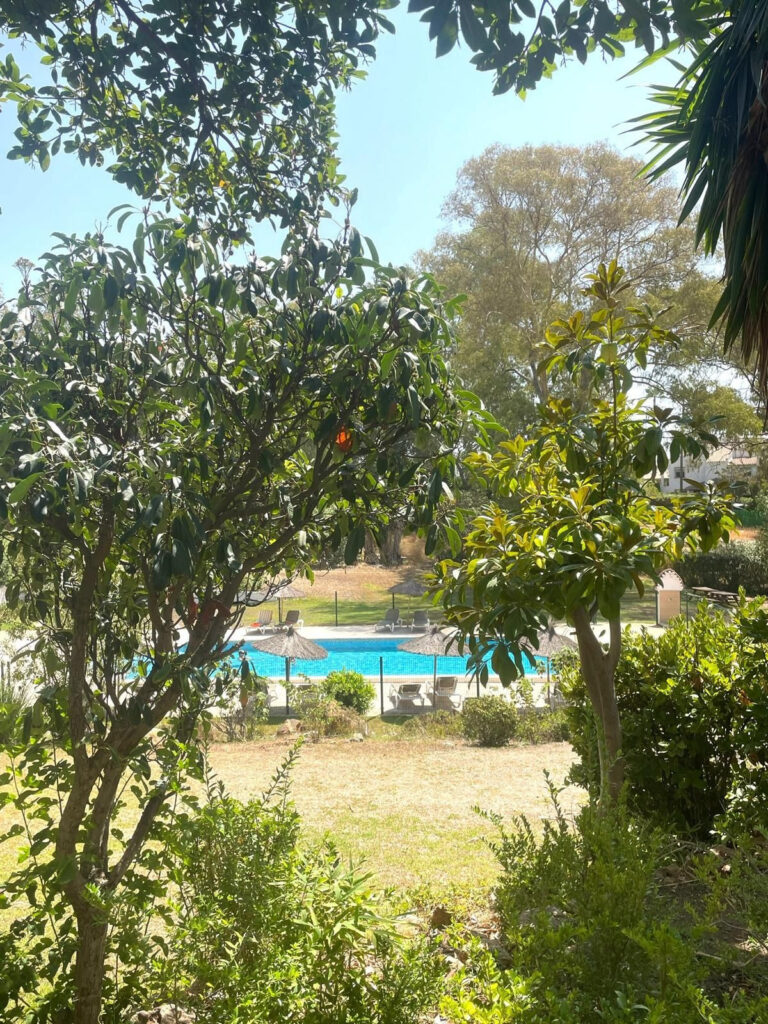 Foto de  1