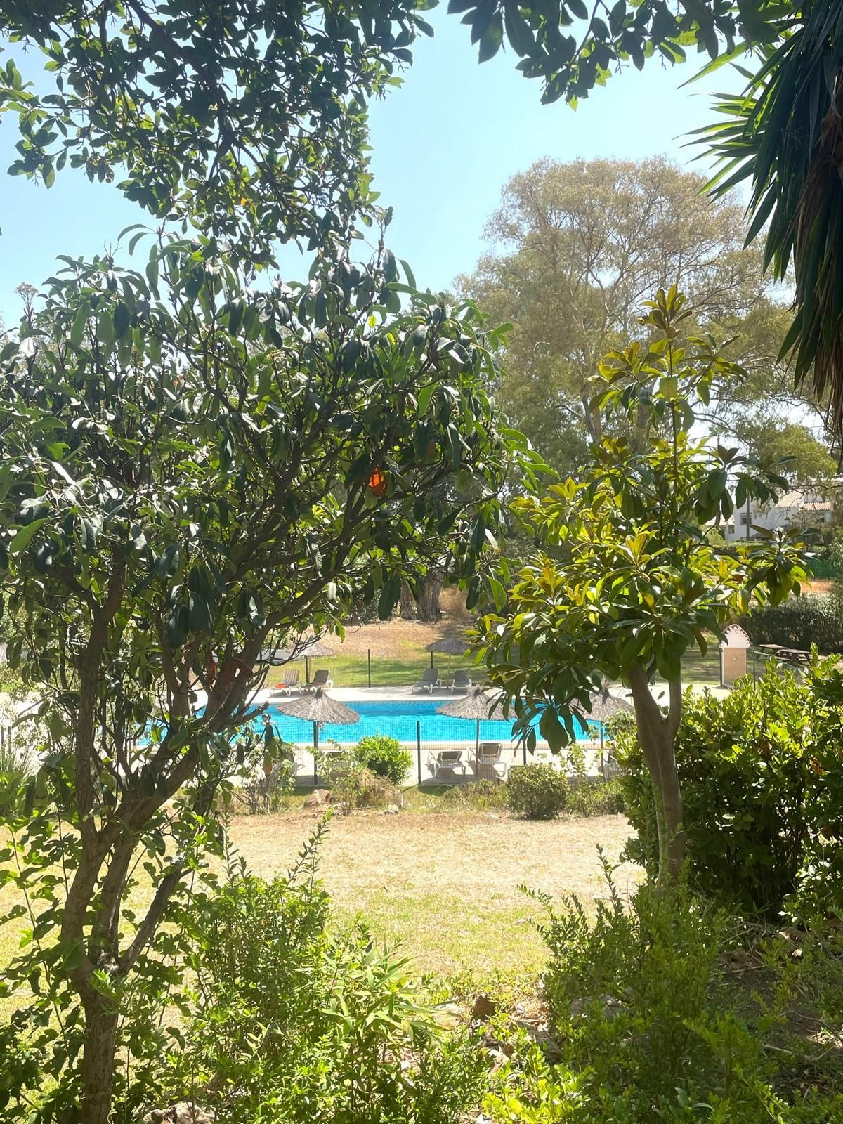 Foto de  1