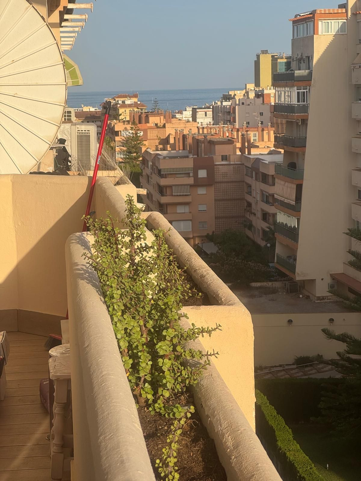 Foto de  1